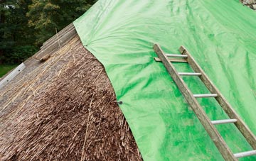 maintaining Tame Bridge thatch