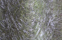 Tame Bridge fibreglass roof work