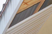 rated Tame Bridge soffit repair companies